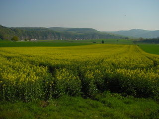 Weser zwischen Höxter und Hameln