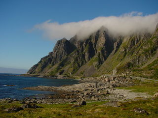 Bøgard